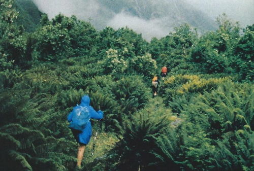 vintagenatgeographic: Hiking the MacKinnon Pass, New Zealand National Geographic | January 1978