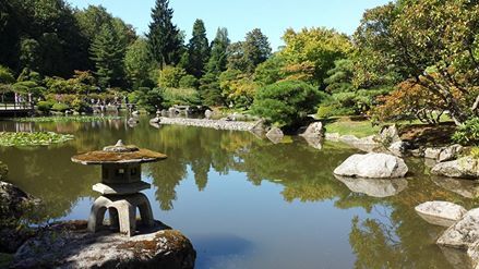 Seattle Japanese garden! It’s so so beautiful : )