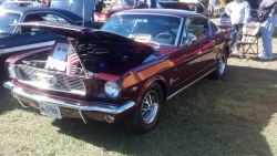 musclecardreaming:  Mustang fastback