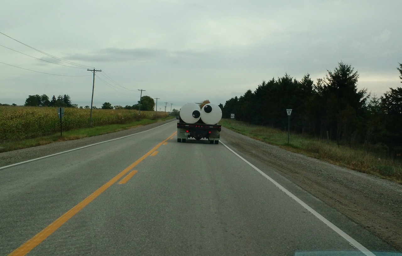 stunningpicture:  I got stuck driving behind this goofball…