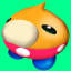 cipsbsndj
