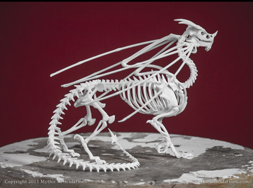 Porn photo mythicarticulations:  Dragon skeleton. It’s