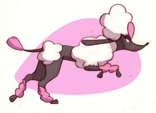 afrofrou:  Pokeddexy challenge, day 13: Favourite normal pokemon Furfrou I’ve been waiting so long for a poodle pokemon and we’ve finally got one and I love it 