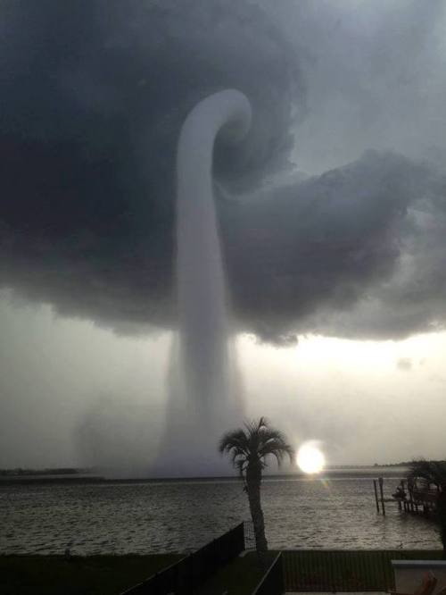 atmospheric-phenomena: A waterspout  in Florida(a non-supercell tornado that formed over water) 