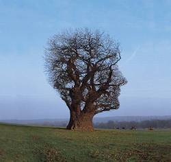 buitromblr:  RIP Storm Thorgerson One of the greatest artists of our time. Thanks for all your beautiful inspirational images. 