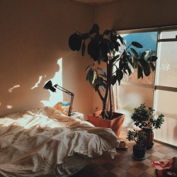 thedeathofcool:  Wake up like this .  photography