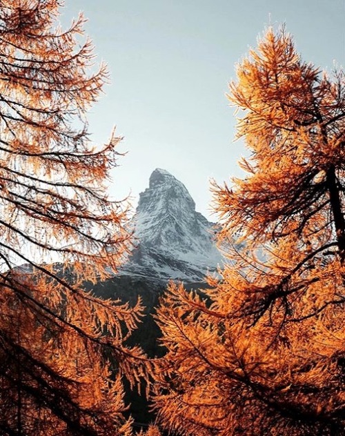 delta-breezes:  Arnaud Teicher