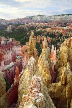 sublim-ature:  Bryce Canyon, UtahPaul Cockrell 