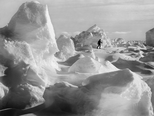 Skiing on the IcePhoto taken January 1915 by Frank Hurley on the Imperial Trans-Antarctic Expedition