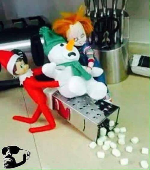 WTF Humor