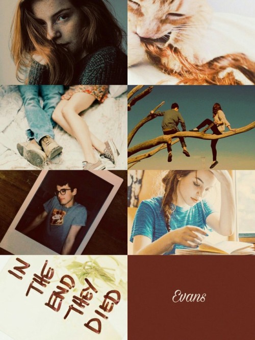 Jily (James × Lily) Hogwarts Pairings 5/?