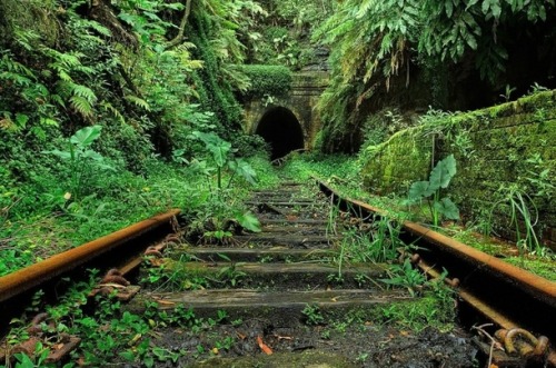 photorator:  Abandoned tracks running toward a tunnel in the jungle