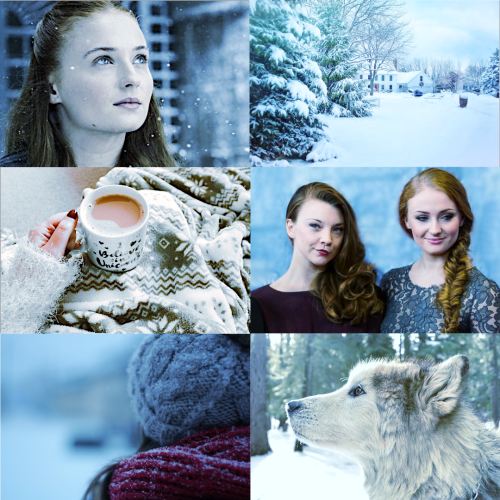 Modern Sansaery AU: Sansa and Margaery spend the winter holidays in Winterfell.