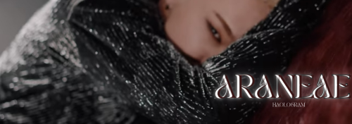 Araneae K.sy (teaser)