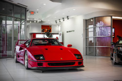 throttlestomper:  Ferrari F40[x]