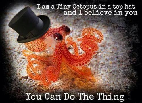 Just some encouragement for today :) tiny octopus and I believe in you!