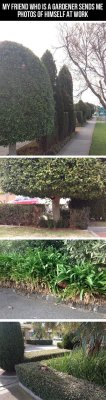 lolfactory:  Gardener or assassin? ➨ funny tumblr➨ facebook➨ twitter➨ pinterest[via imgur] 