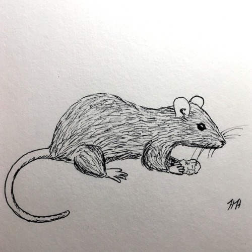 Inktober Day 26: Squeak (26/31)“Today the crumbs. Tomorrow the loaf. Perhaps someday the whole