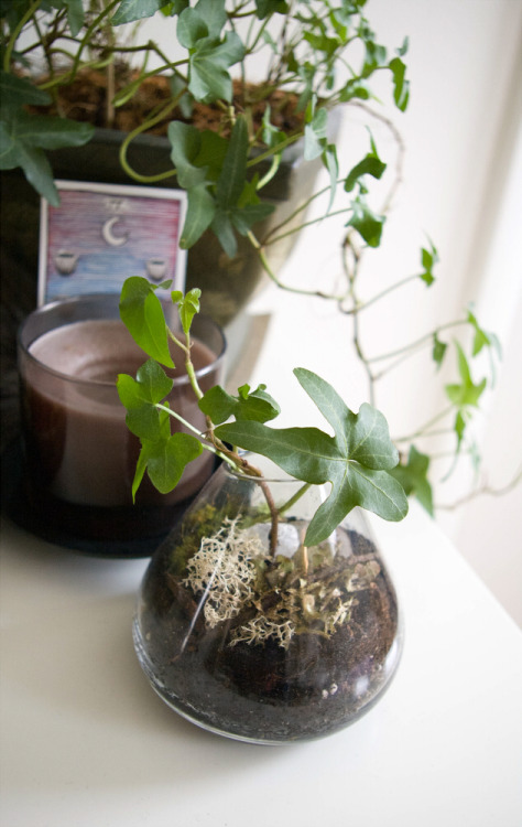 puddingtea:  Rearranged some things to try to channel Spring. 