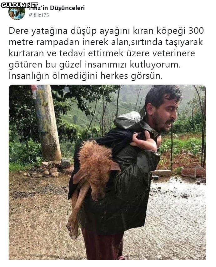 Filiz'in Düşünceleri...