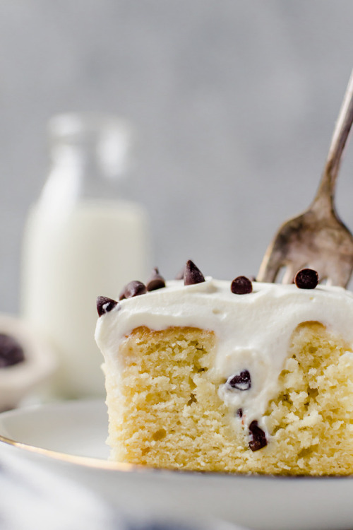 sweetoothgirl:Cannoli Themed Desserts (Recipes 1, 2, 3, 4, 5, 6, 7, 8, 9, 10)