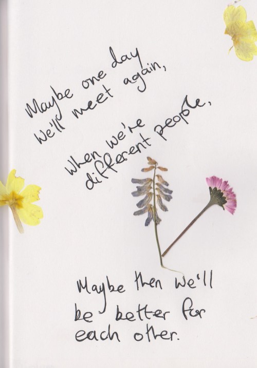 whatever-you-write:  Maybe one day we’ll meet again when we’re different people.Maybe th