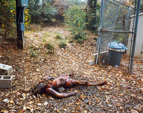 bloodyminx:  malicedesire:  Sally Mann Selected Works: Body Farm   the tone of death makes me wonder. 