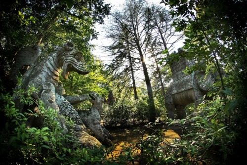 sixpenceee:The Sacro Bosco of Bomarzo, also known as Park of the Monsters, is a unique masterpiece a