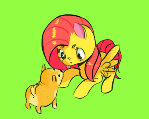 uglibug:  dogy 