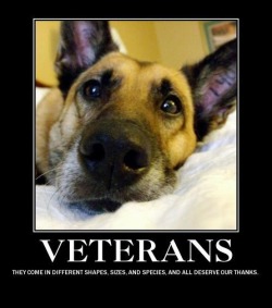 devildoglove:  queued, in San Diego seeing my love!!  Nick and I are hoping to adopt a veteran like this guy when we move away from alaska:)