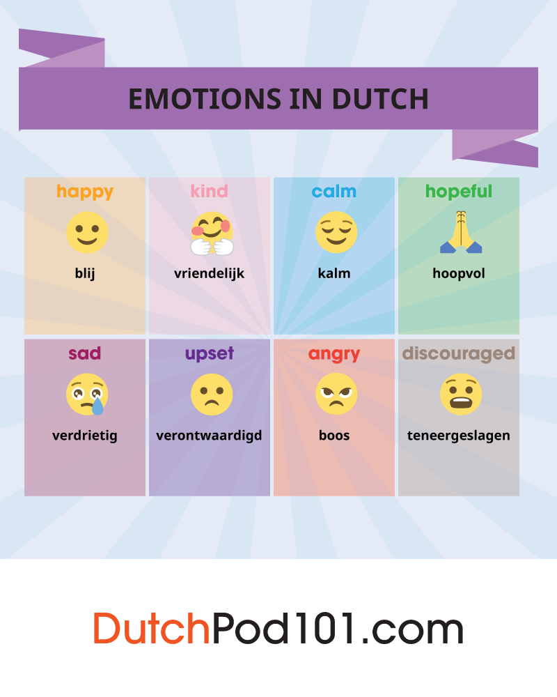 Learn Dutch — 🎯 Must Know Dutch Words For Beginners 👉 Don T