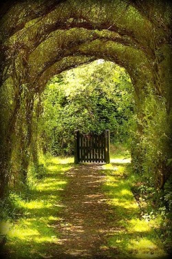 Gateway to a dream