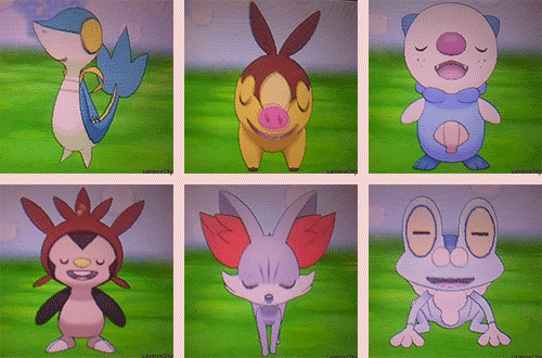 laverrecity:Shiny Starters❤