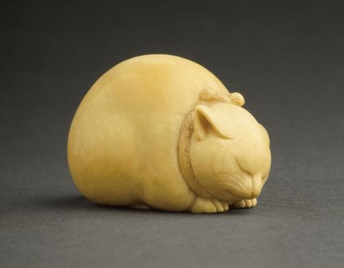 historyarchaeologyartefacts - Sleeping Cat. Ivory, 19th century,...