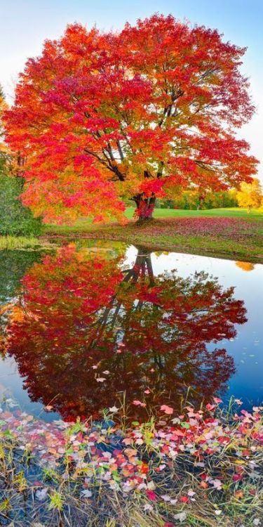 Twin Lakes State Par