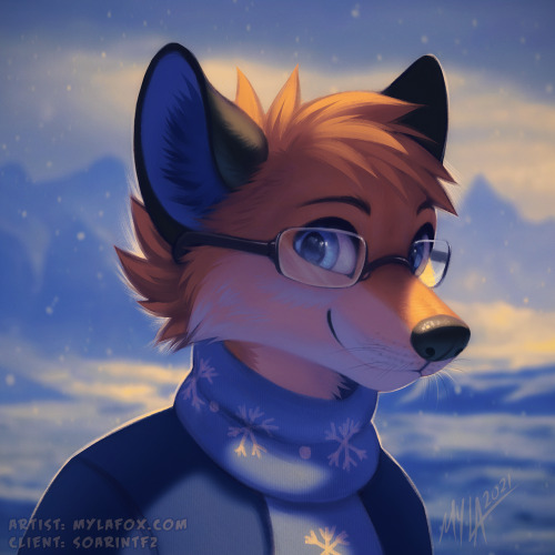  Winter foxxo!! ❄️Commission for SoarinTF2 on TwitterThanks so much for commissioning me! ;w; 