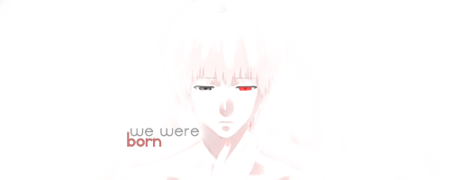 ノラガミ