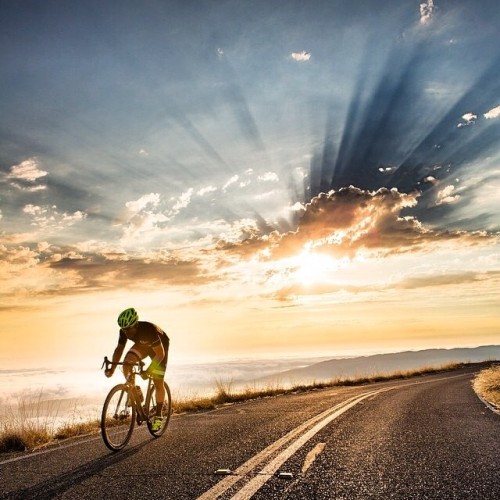 velo-vogue:  :: Velo Vogue :: From Instagram - http://ift.tt/1uZRzmE