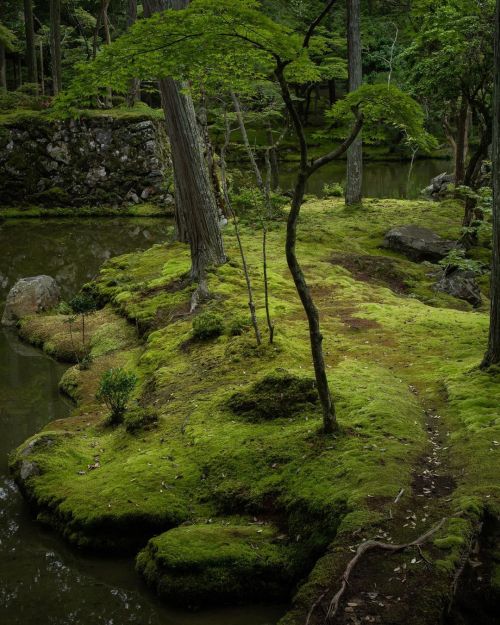 uroko: 西芳寺/苔庭 Saiho-ji Temple/Moss Garden ✨