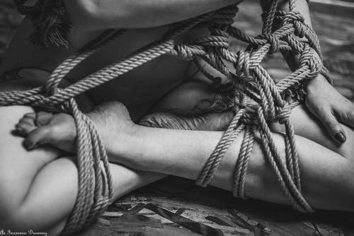 ohgracie:  Just such a pretty tie-up <3Rope porn pictures