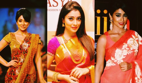 kollyblast: Saree Appreciation: Shriya Saran