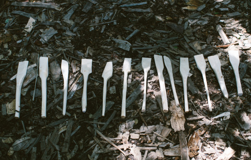 Spoon carving with Hatchet + Bear Summer Camp at Fforest