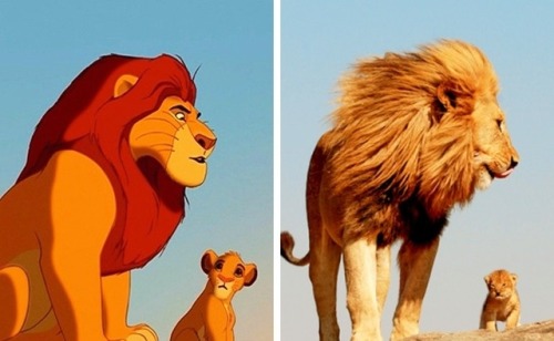 pizzaotter:  pr1nceshawn:    Animals Who Are Almost-Exact Copies Of Animated Movie Characters.  I LOVE THIS.