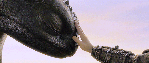 avataviking:Go Toothless …Go