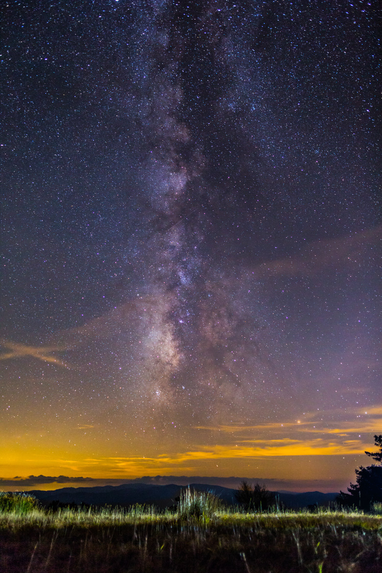 2bdeterminedstill-blog-deactiva:   Starfall at Gregory Bald, Great Smoky Mountains