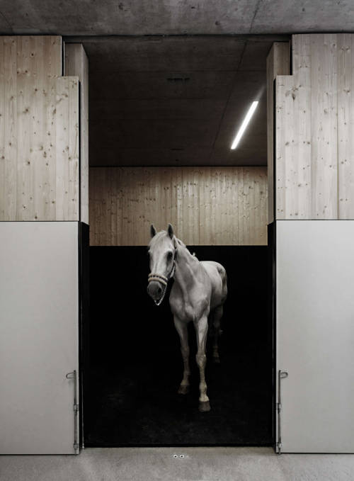 subtilitas:  marte.marte - Griss equestrian veterinarians, Rankweil 2014. Via, photos © Marc Lins. 
