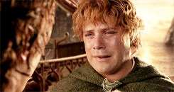 lord of the rings daily
