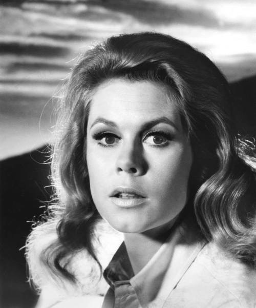 Elizabeth Montgomery Nudes &amp; Noises  