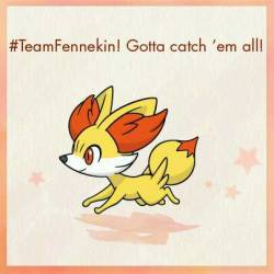 magicalgatomon:  Can’t wait for the midnight release this friday! Excitementttt!!!#TeamFennekin