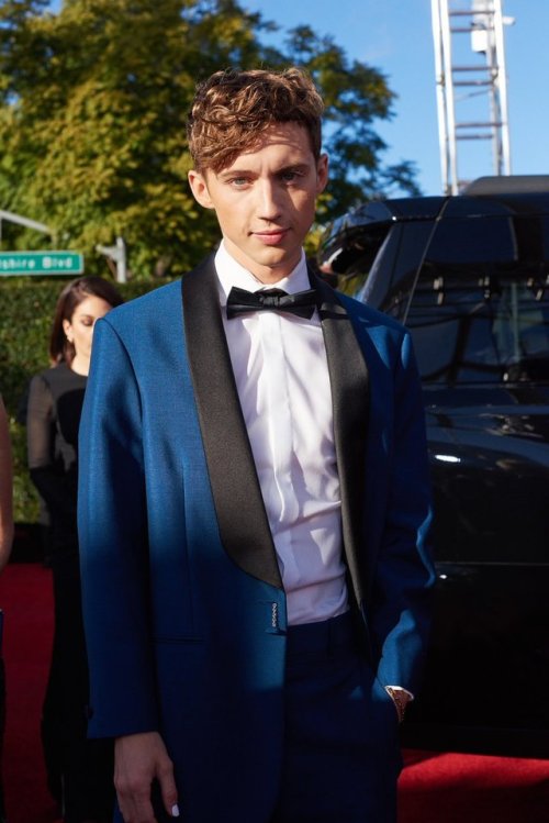 Troye Sivan attending the 2019 Golden Globes red carpet.